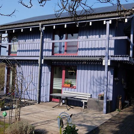 Blaues Haus - Une Maison Bleue Hetzerath 외부 사진